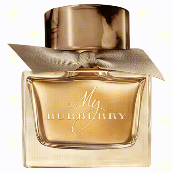 ZPW24 Enhanced Version of My Burberry